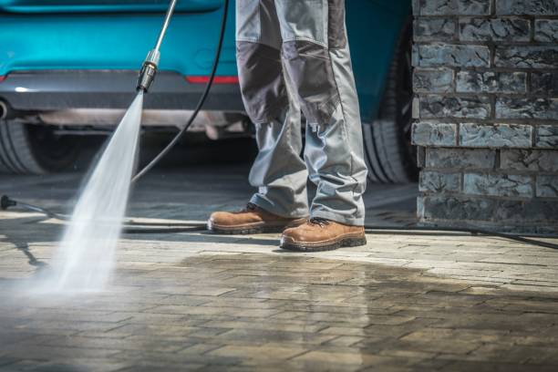 Best Pre-Holiday Cleaning  in Marion, TX